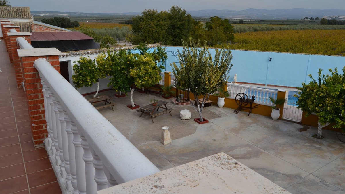 Moriles Cottage | Wide cortijo-lagar, located in the geographical center of Andalusia.