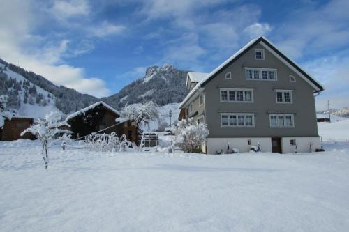 Mitloedi Apartment | Wies