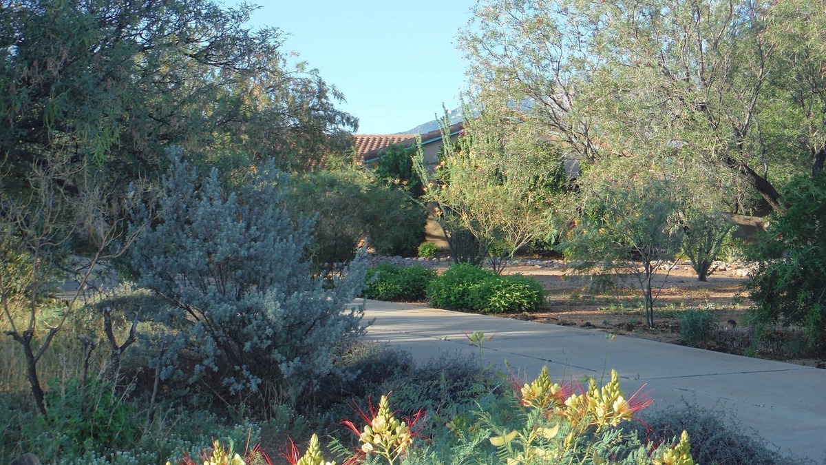Sierra Vista Southeast House | Wiggle Your Toes!
