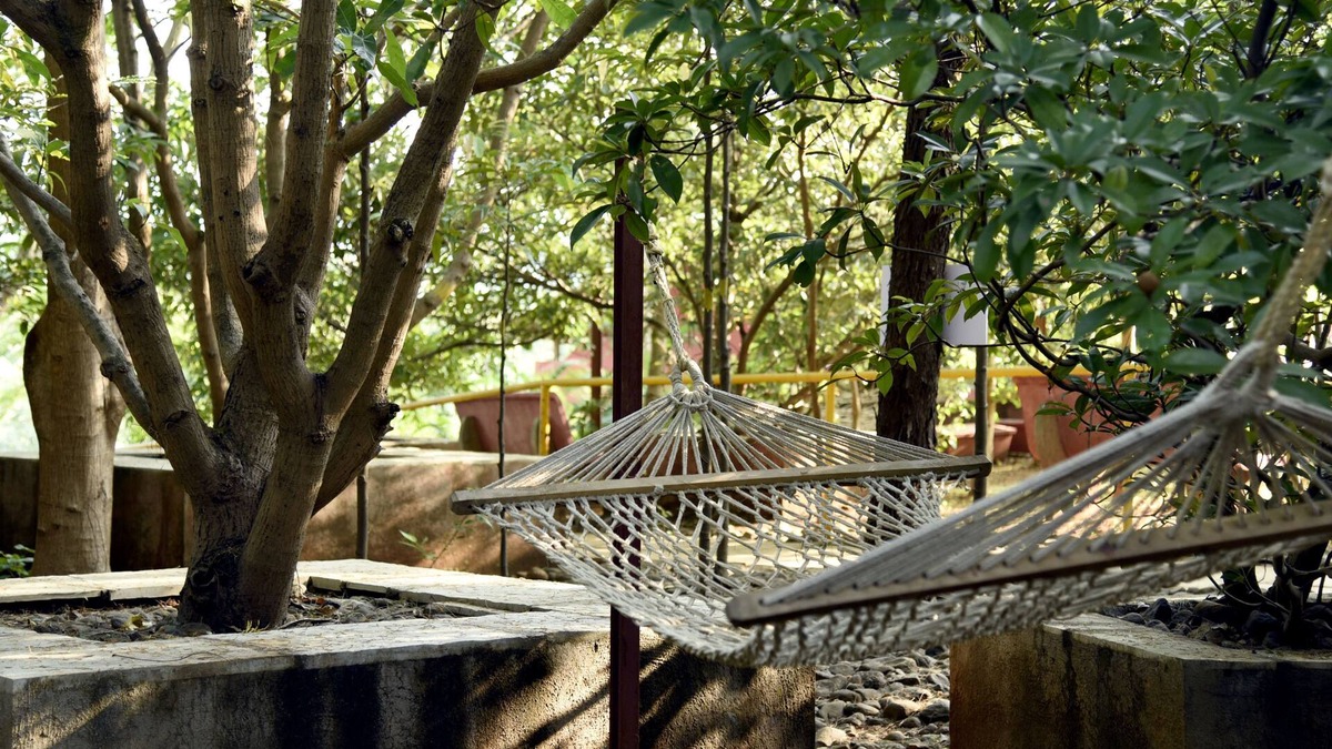 Khodala Hotel | Wild Camp Resort