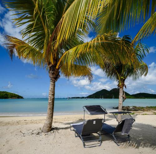 Jolly Harbour Villa | Wild Lotus Villa - Waterfront on Jolly Harbour