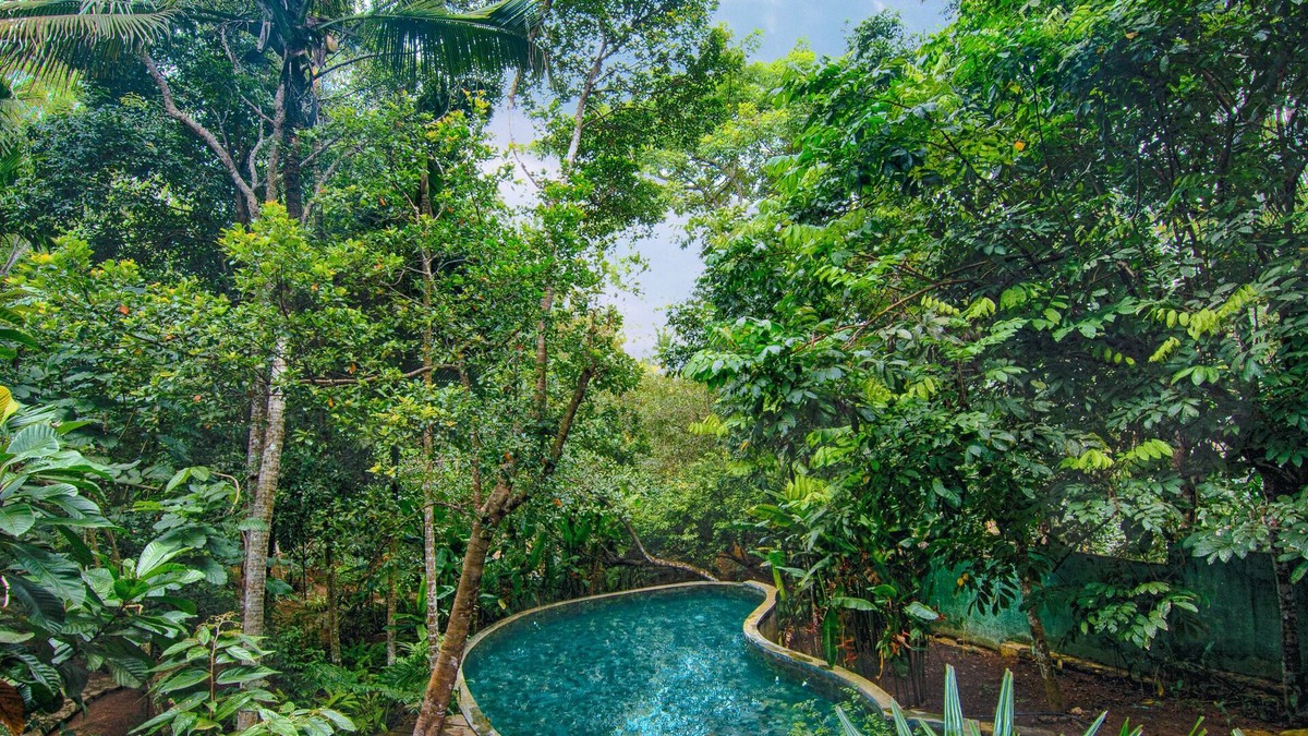 Unawatuna Villa | Wild Nest Villa | Modern 2 Bedrooms Villa with a Private Pool