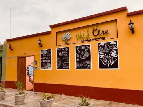 Huacachina Hostel | Wild Olive Guest House
