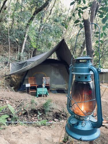 Imbulpe Other | Wild Paradise Camp Belihuloya