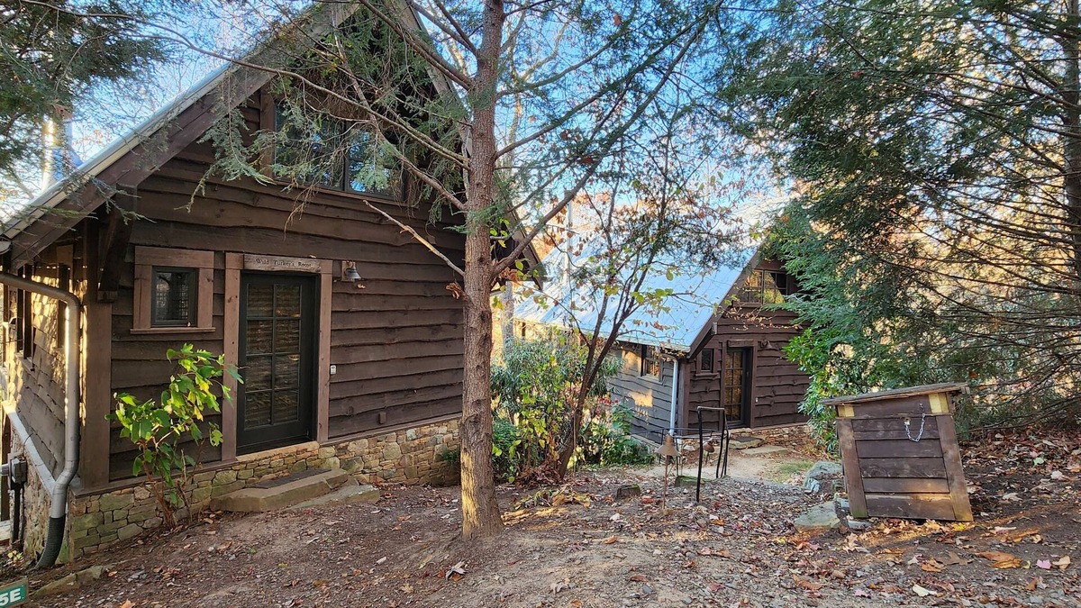 Cheshire Cabin | Wild Turkey’s Roost | Cozy Cabin w/Fireplace + Biltmore Pass