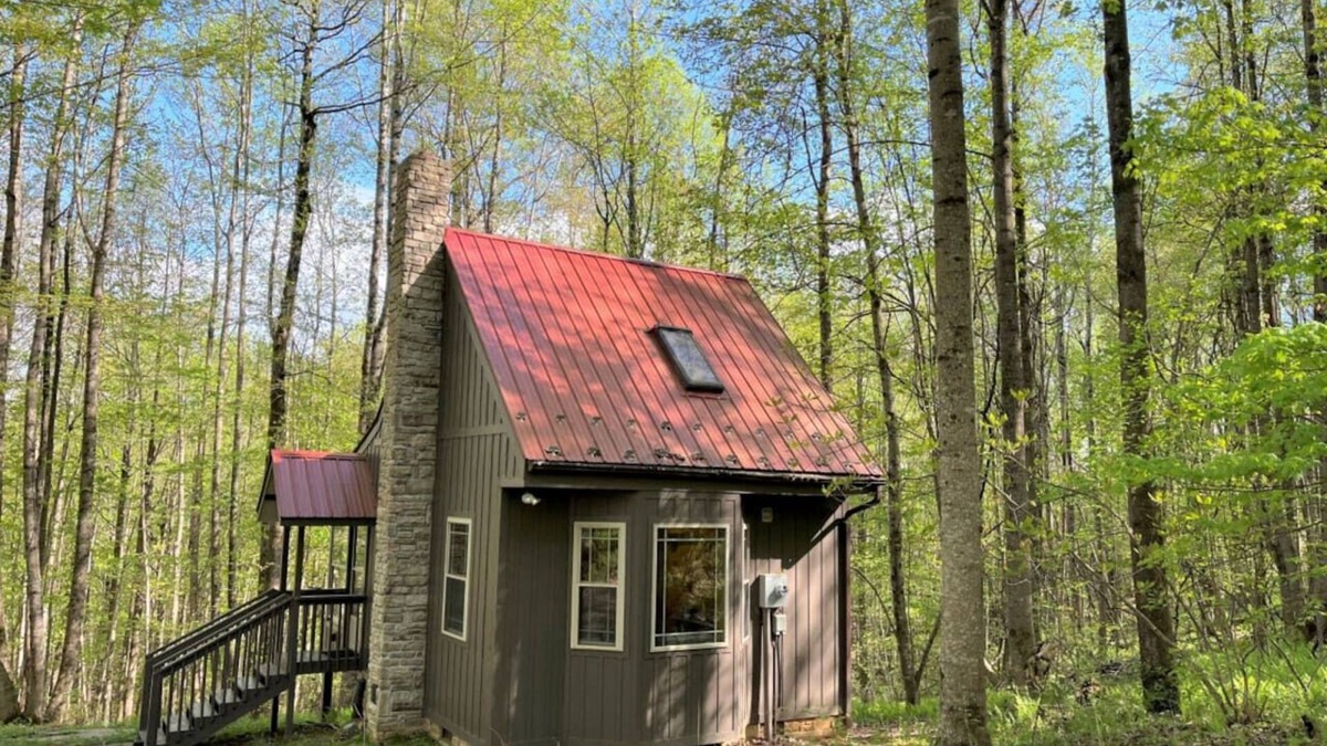 Meadows Of Dan Cabin | Wildcat Forest - a tiny cabin with lots of charm, by Buffalo Mountain Getaway