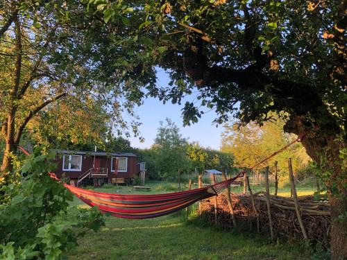 Carmzow-Wallmow House | Wilde Möhre Bauwagen Sommerküche Draussen Abenteuer
