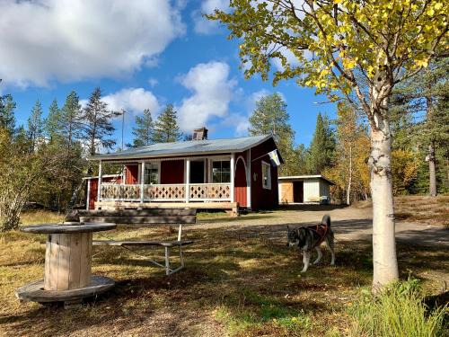 Nattavaara House | Wilderness and Calmness in Lapland