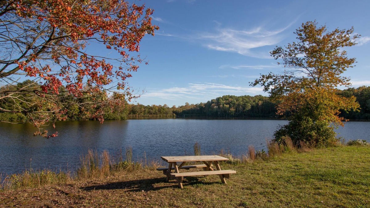 Spotsylvania Cabin | Wilderness Presidential By Tripforth