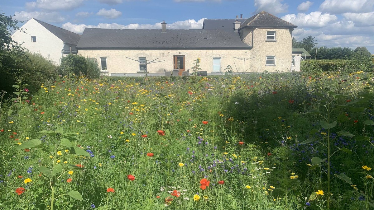 South Tipperary Cottage | Wildflower Farm Cottage
