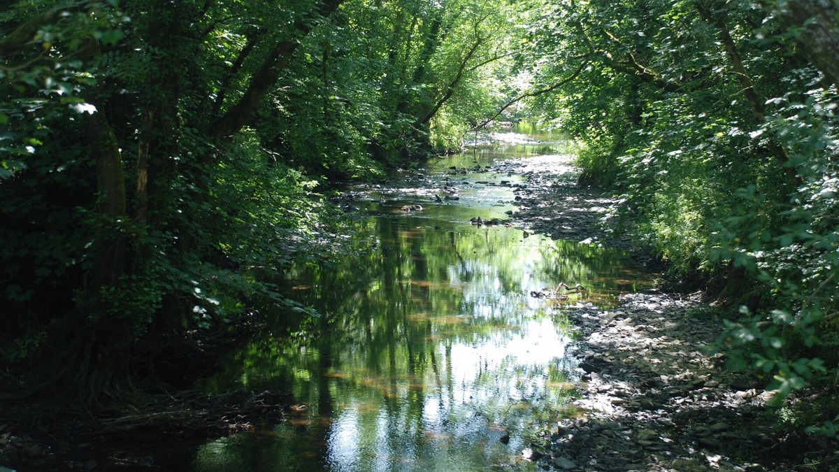 St. Giles on the Heath Cottage | Wildlife haven with river