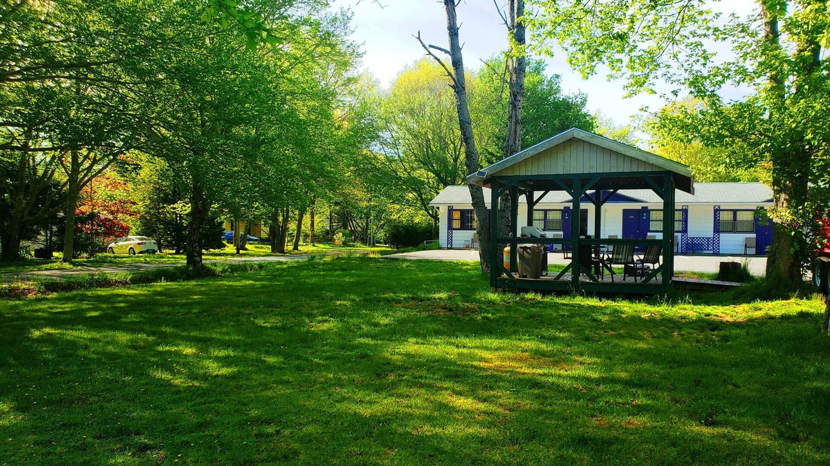 Shelburne Hotel | Wildwood Motel