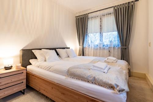 Bielsko-Biala Apartment | Willa Cosy Bielsko-Biała
