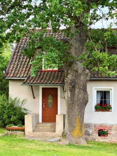 Ketrzyn Cabin | Willa Pod Dębem