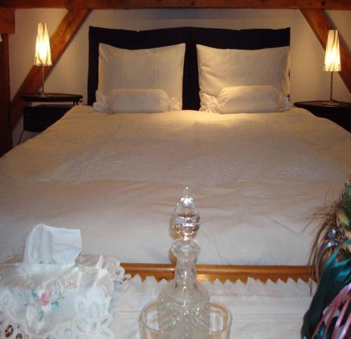 Inowroclaw Bed & Breakfast | Willa Viktoria