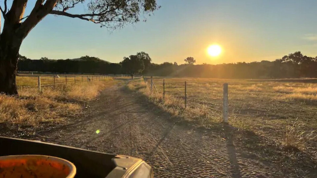 Chiltern Cabin | Willuna Sanctuary Farm Stay