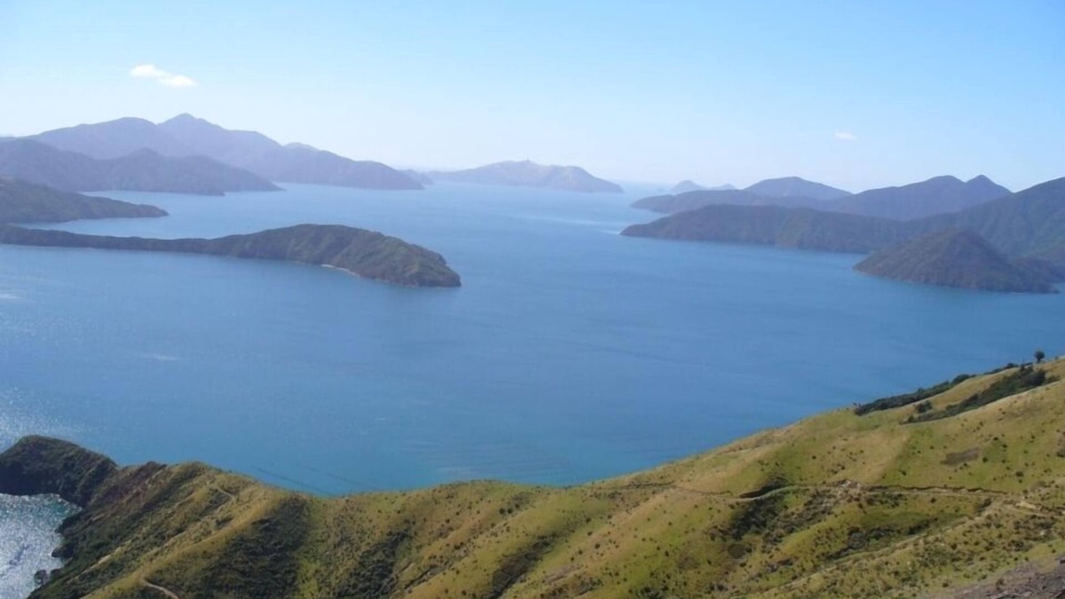 Wilson Bay Cabin | Wilson bay farm, Pelorus Sound A 5th generational historical family farm