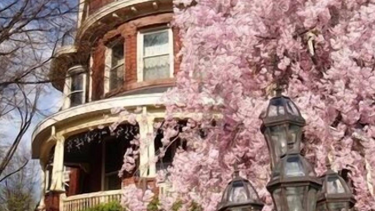 Downtown Baltimore Bed & Breakfast | Wilson House Bed & Breakfast
