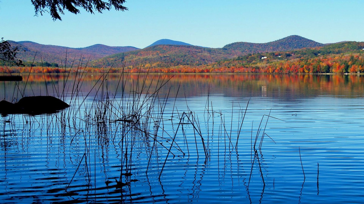 Dryden Hotel | Wilson Lake Inn