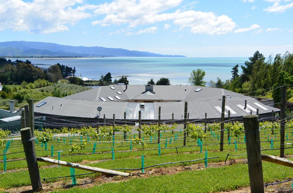 Tasman Apartment | Windhover Suites
