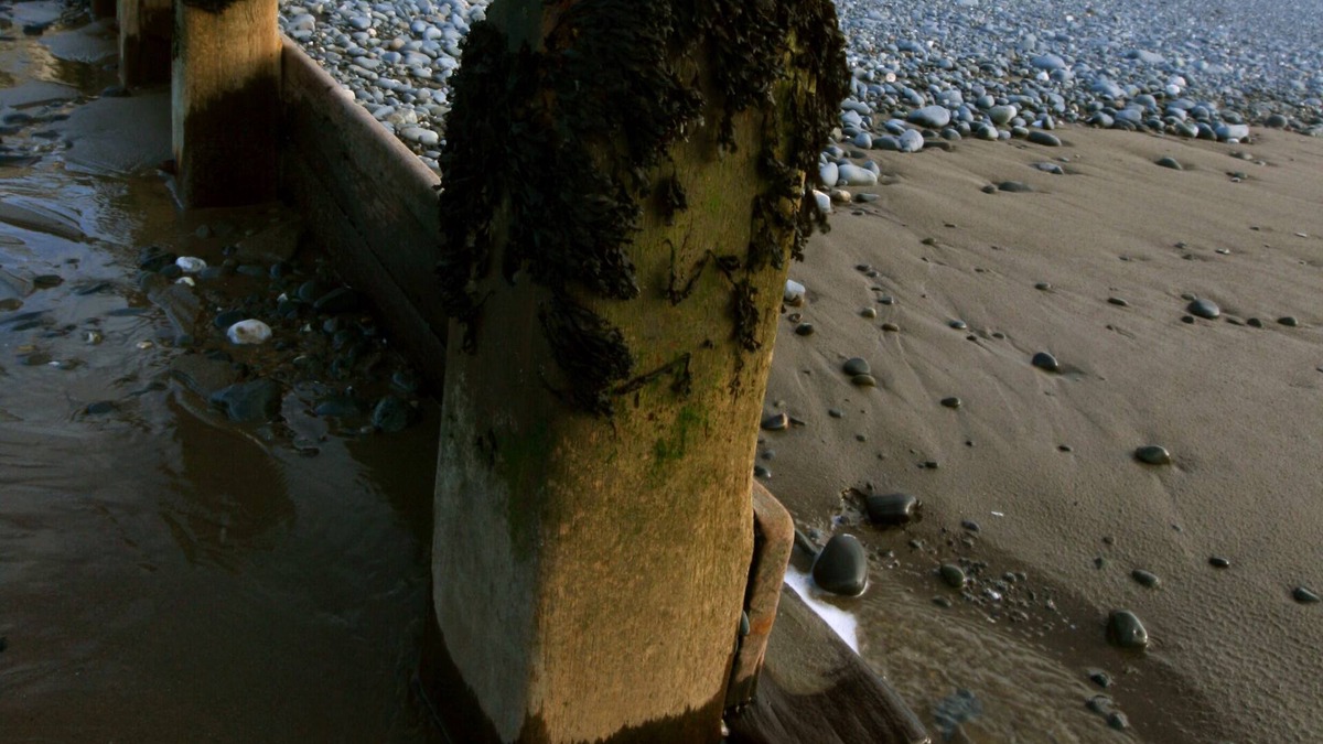 Borth House | Windsor House, Borth