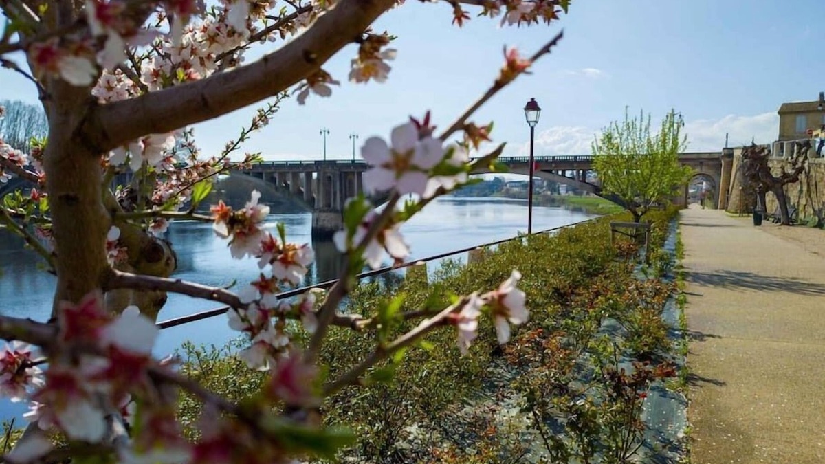 Castillon-la-Bataille Apartment | Wine Not, lovely apartment in the city, near St Emilion
