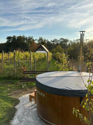 Valtrovice House | Wine & Relax Mezi Sklepy