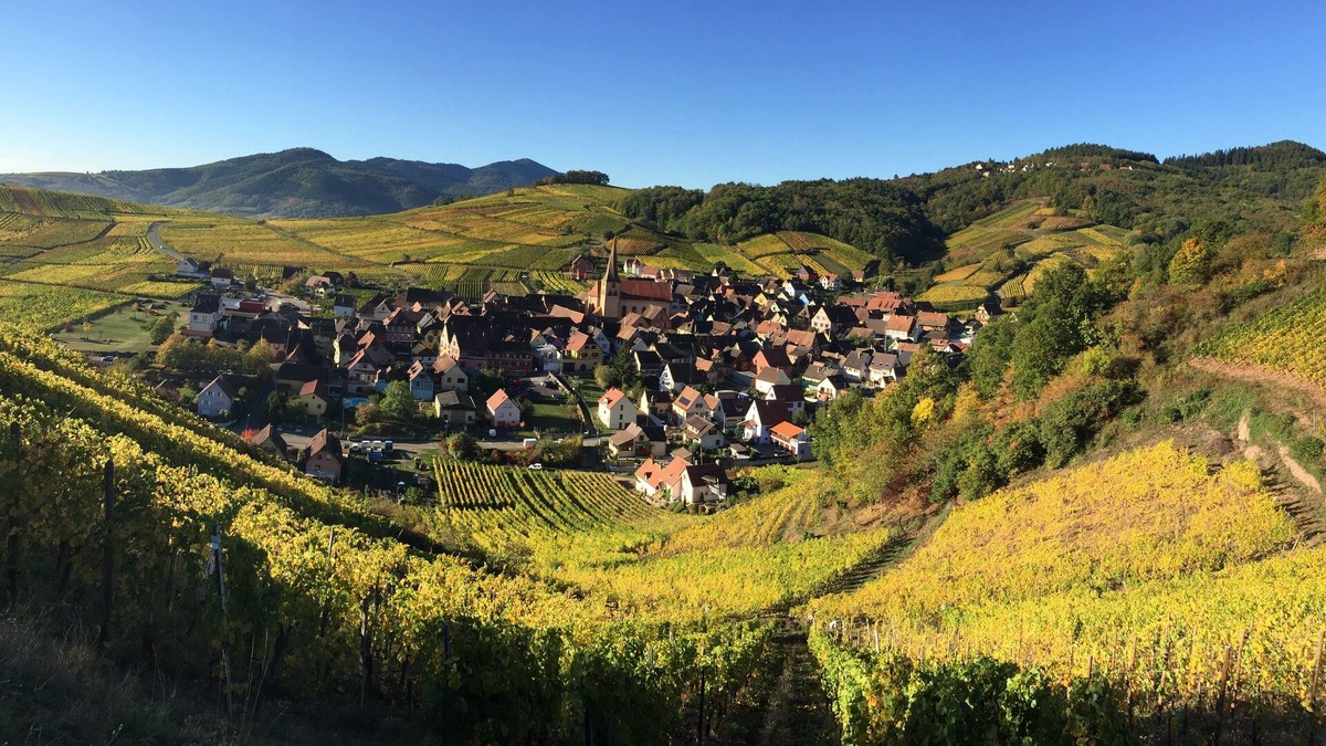 Niedermorschwihr House | Winehouse 1751 near Colmar, one hour away from Germany and Switzerland