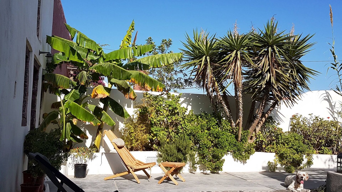 Finikia Villa | Winery Villa. Old winery converted into a stylish traditional villa with pool