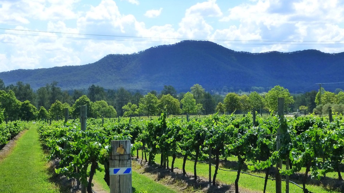 Broke House | Winmark Wines | Winmark Residence