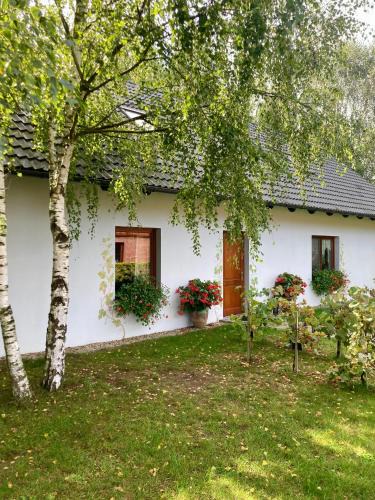 gmina Krosnice House | Winnica De Sas