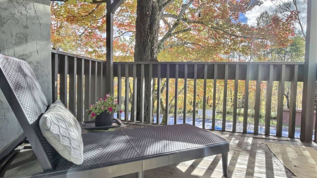 Mendon Apartment | Winter Melody - Fireplace, Games, Bus Stop to Mtn