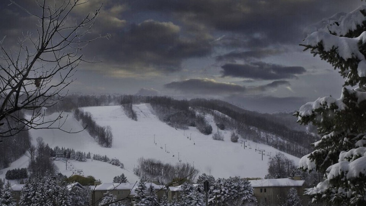 The Blue Mountains House | Wintergreen 2/min Village/Sauna