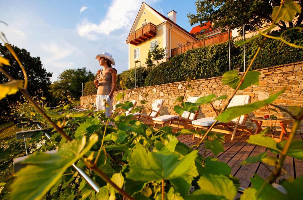 Hartl Apartment | Winzerhaus Friedrich