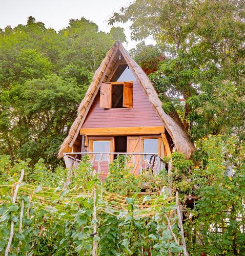 Moragaswewa Other | Wisdom Camping and Glamping
