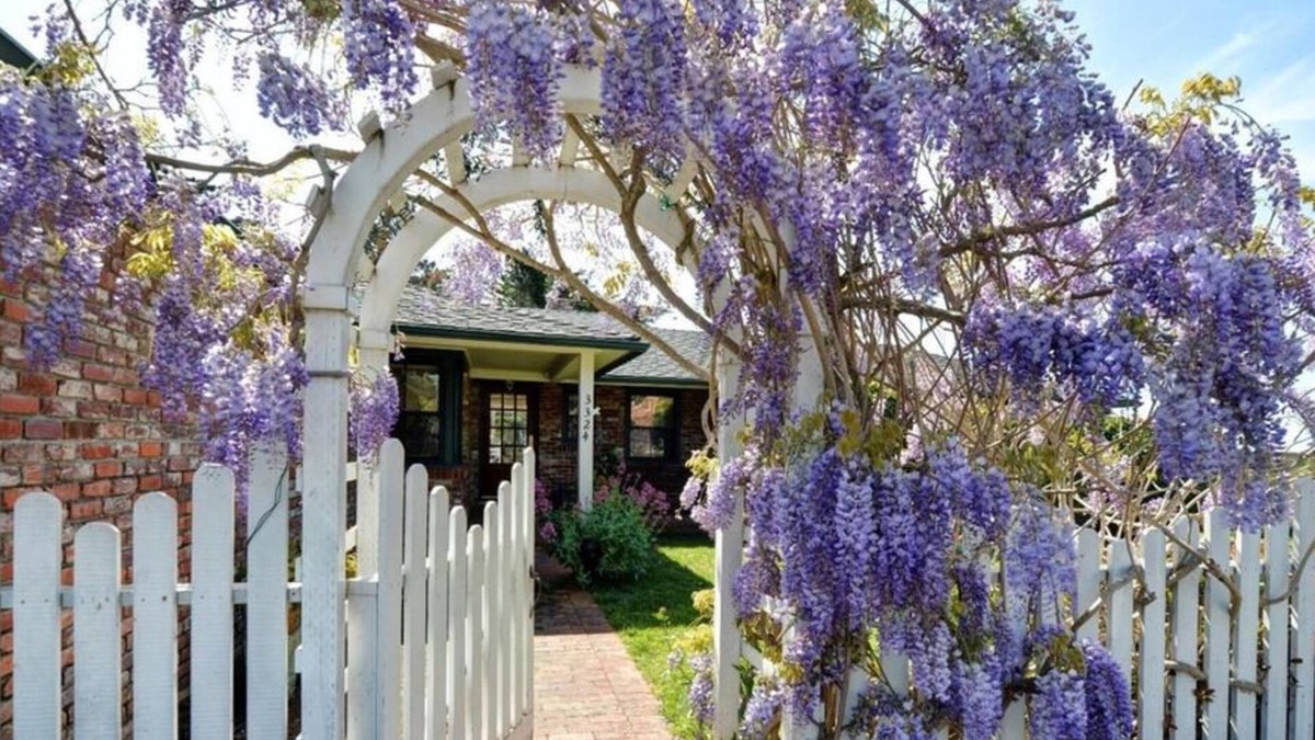 Hatton Fields House | Wisteria - Carmel House - Close to Downtown, Beaches, Big Sur and Pebble Beach