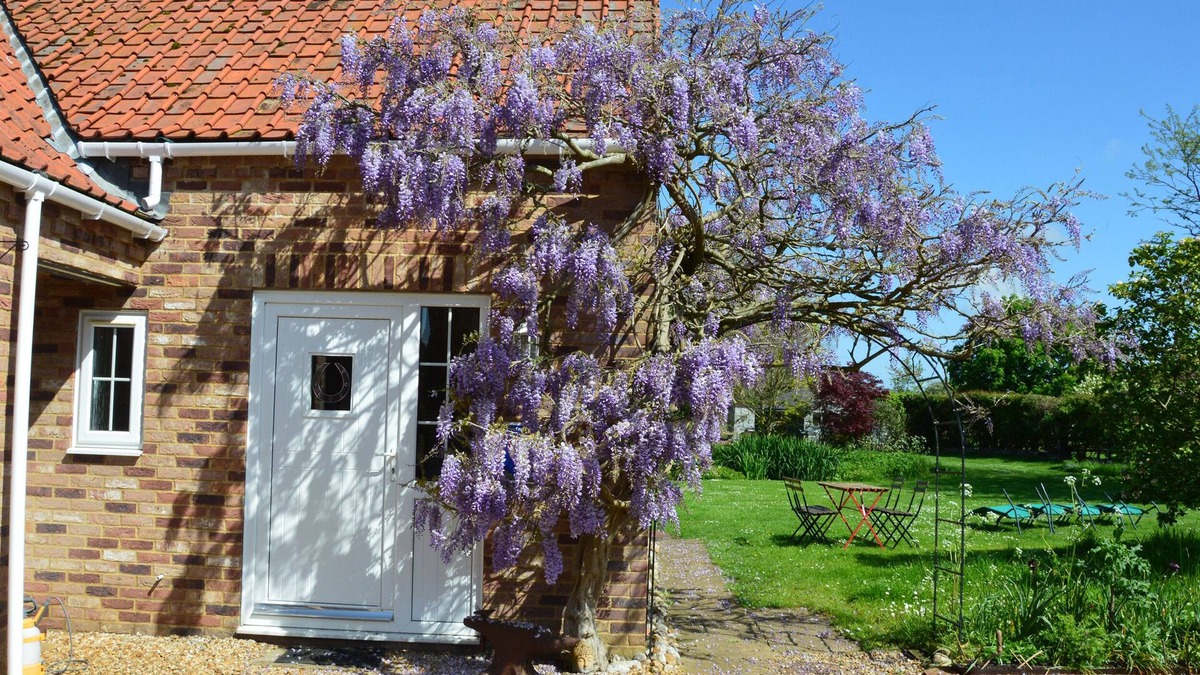 King's Lynn Cottage | WISTERIA COTTAGE, pet friendly, character holiday cottage in Gayton