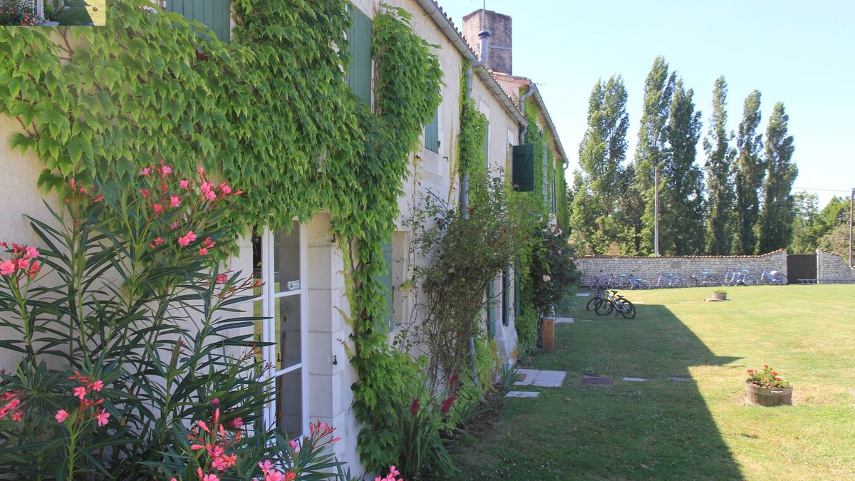 Mortagne-sur-Gironde Cottage | WISTERIA heated swimming pool surrounded by vineyards and not far from the beaches