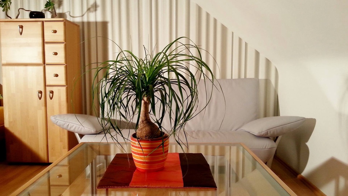 Mitte Apartment | With garage, 1 minute z. Subway, WiFi, washing machine.& Laundry door, fully automatic coffee machine