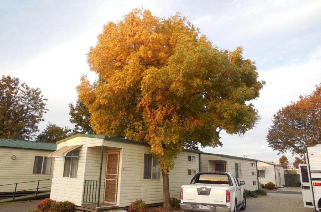 Albury Resort | Wodonga Caravan & Cabin Park