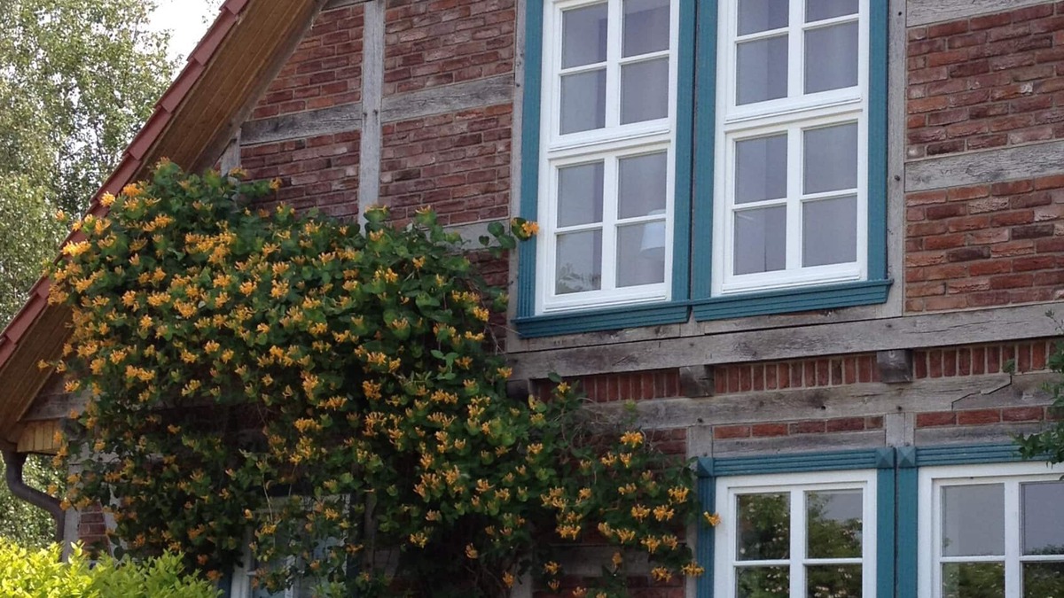 Ruterberg Apartment | Wohlfühlwohnung mit Wintergarten und Terrasse