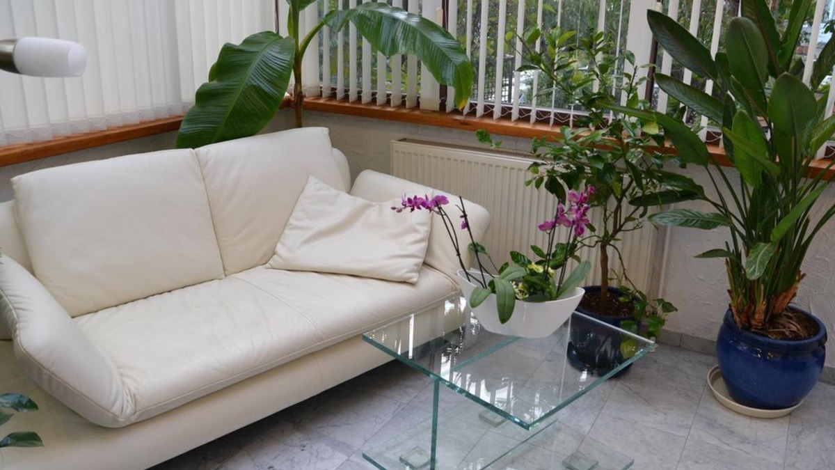 Neustadt an der Weinstrasse Apartment | Wohnung Ann-katrin - Fewo Branchweilerhof