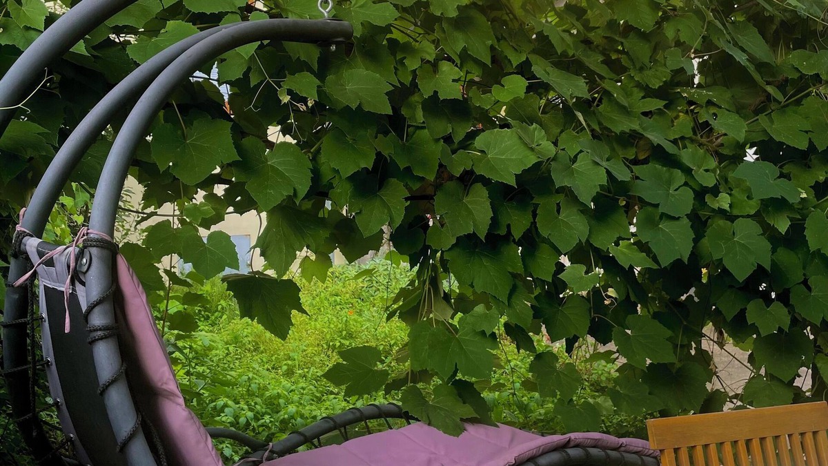 Comero Apartment | Wohnung Zwischen Lago Maggiore und Lago Mergozzo mit Garten