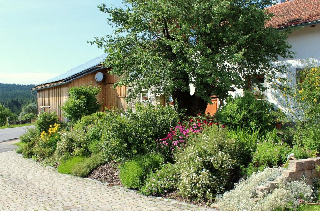 Lam Ski Chalet | Woidhaisl