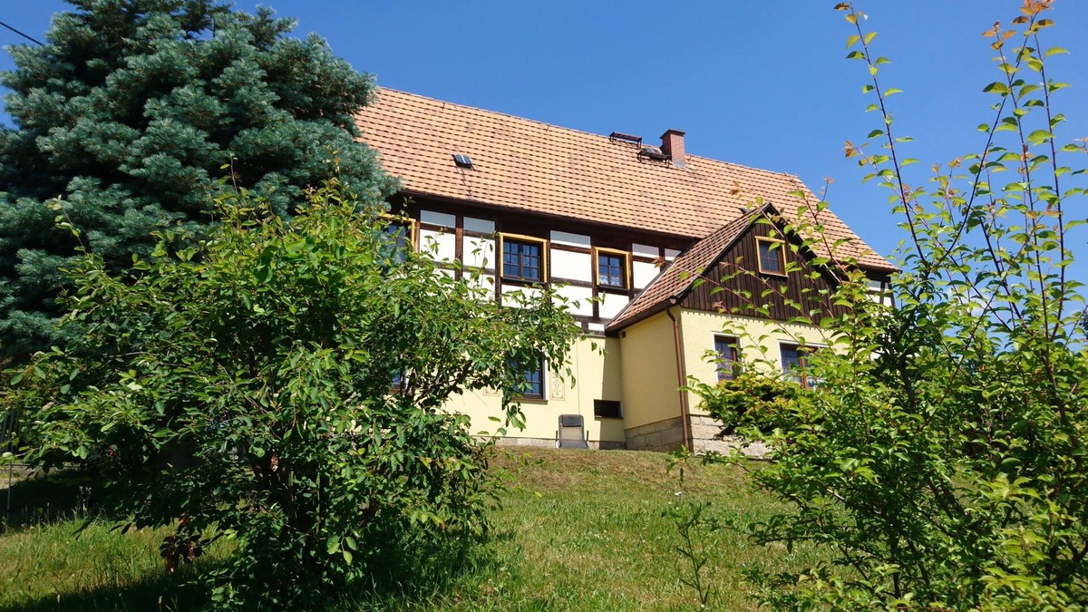 Reinhardtsdorf-Schoena Apartment | Wolfsberg view