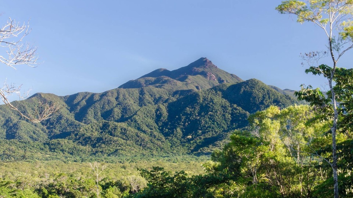 Cow Bay House | Wompoo Eco Retreat - Mangosteen Bungalow with views