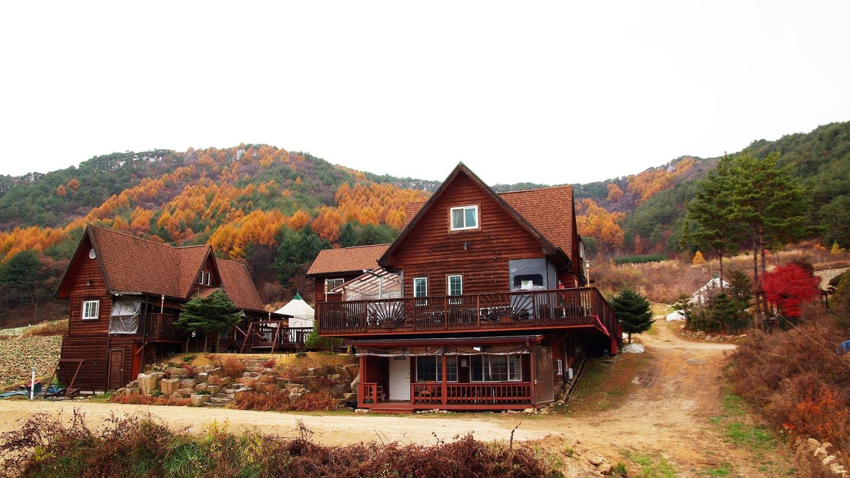 Bongpyeong House | "WON" Suite Liun Pine Tree Cabin