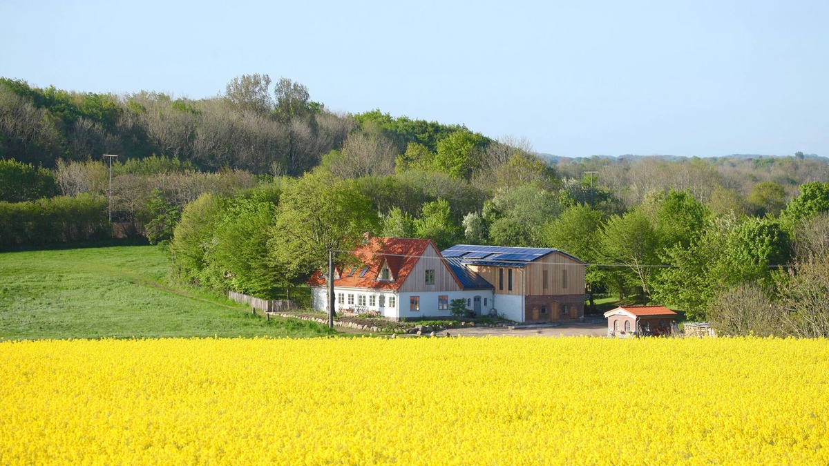 Steinberg Apartment | Wonderful apartment in the middle of the countryside and close to the water