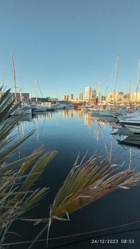 Sant Adria de Besos Boat Rental | Wonderful boat experience for families and friends
