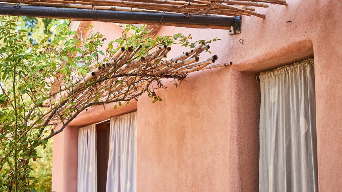 Barchi Apartment | Wonderful flat in the garden - ecologically between vineyard and olive grove